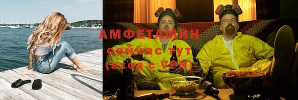 ECSTASY Алзамай