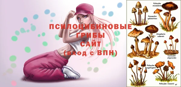 герыч Алексеевка