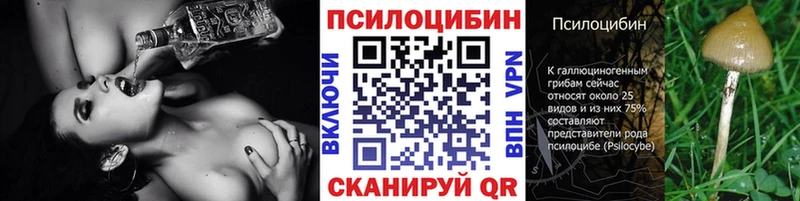 Псилоцибиновые грибы мицелий  продажа наркотиков  shop Telegram  Артёмовск 