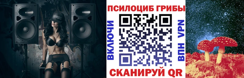 Псилоцибиновые грибы Cubensis Артёмовск